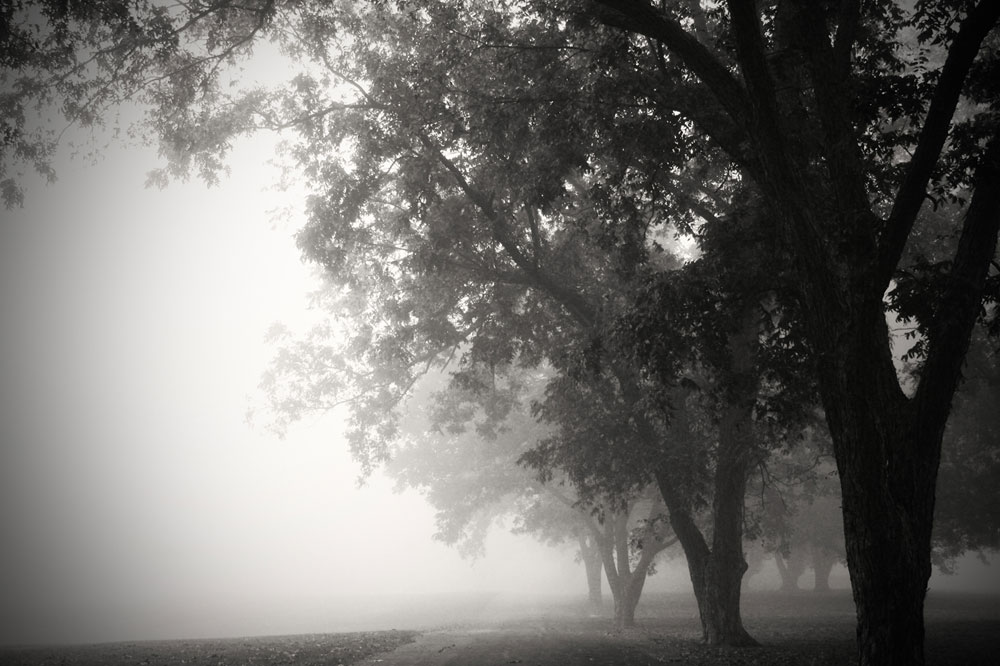 Morning Walk