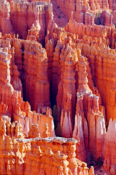 Hoodoos at Dawn