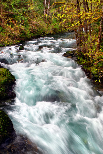 Hamma Hamma River