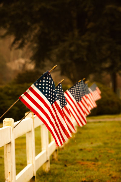 Flags II
