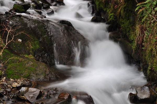 Stream Falls III