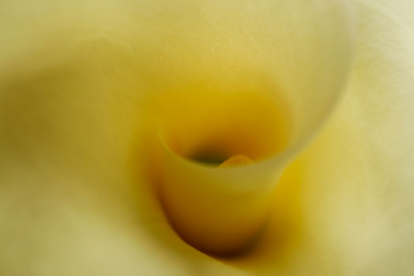 Tender Moments II