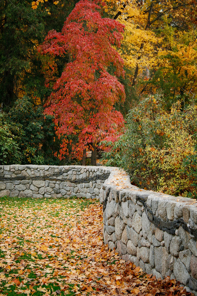 Fall Colors II