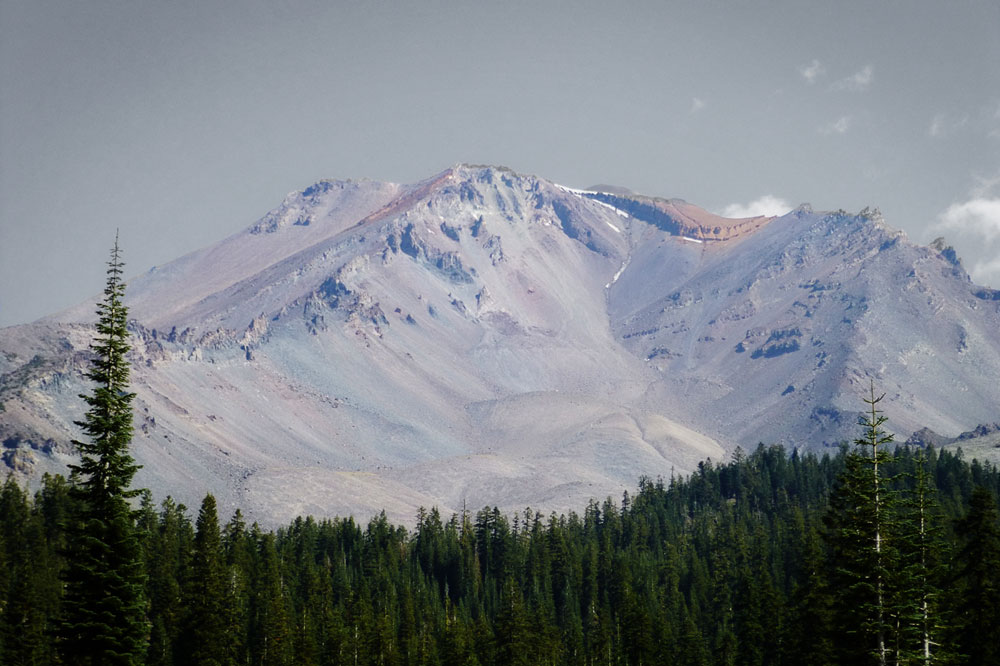 Shasta Majesty I