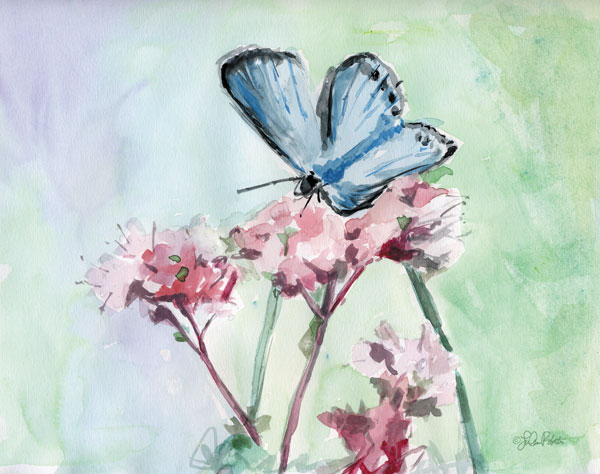 Watercolor Butterfly I