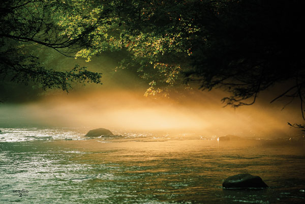 Evening Glow I