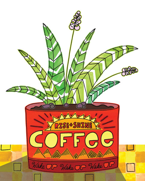 Coffee Can Succulent II