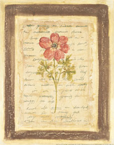 Garden Notes I