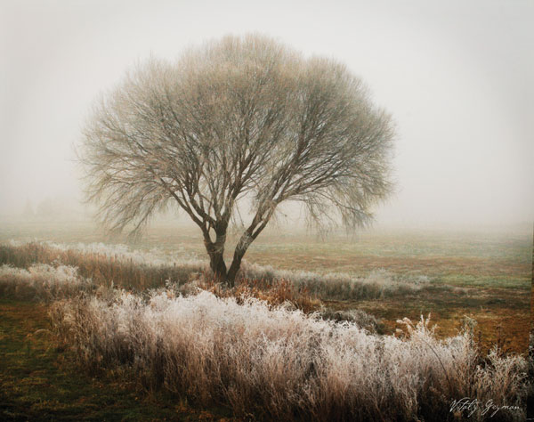 Tranquility I