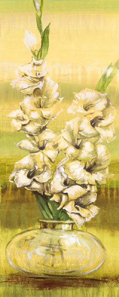 Gladiolas