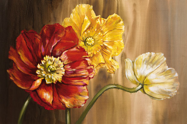 Poppies