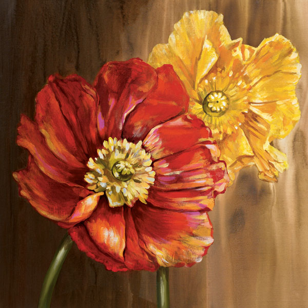 Poppies - square