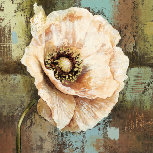 Papaver II