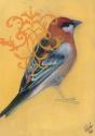 Bird Study I