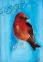Bird Study II