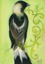 Bird Study III
