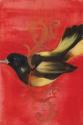 Bird Study IV
