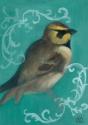 Bird Study V