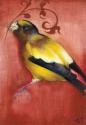 Bird Study VI