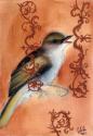 Bird Study VII