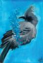 Bird Study IX