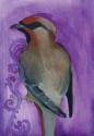Bird Study X