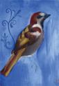 Bird Study XI
