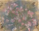 Cherry Blossoms I