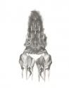 Deer I