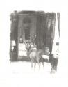 Deer II
