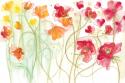 Spring Garden II