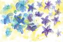 Spring Garden III