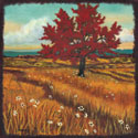 Distant Fields I