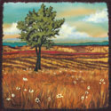 Distant Fields II