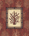 Red Coral II