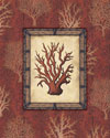 Red Coral III