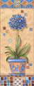Flower in Greece III