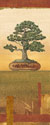 Bonsai I