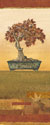 Bonsai IV