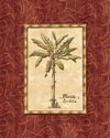 Red Passion Palm II