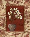 Osaca Floral I