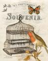Music Bird II