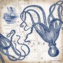 Octopi I