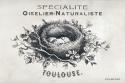 French Bird Nest II