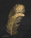 Feather on Black II