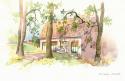 Jane's Barn I