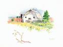 Rigefield Barn I