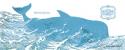 Whale on White I