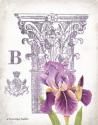 Column & Flower B