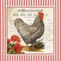 French Rooster